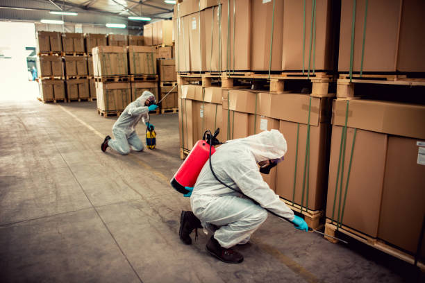 Best Best Pest Control Companies  in Sanford, NC