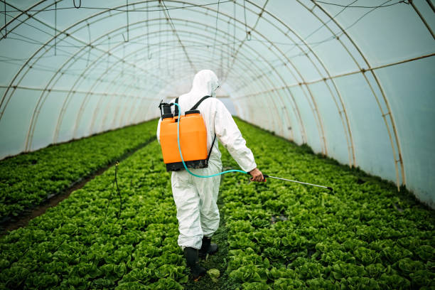 Best Pest Inspection Near Me  in Sanford, NC