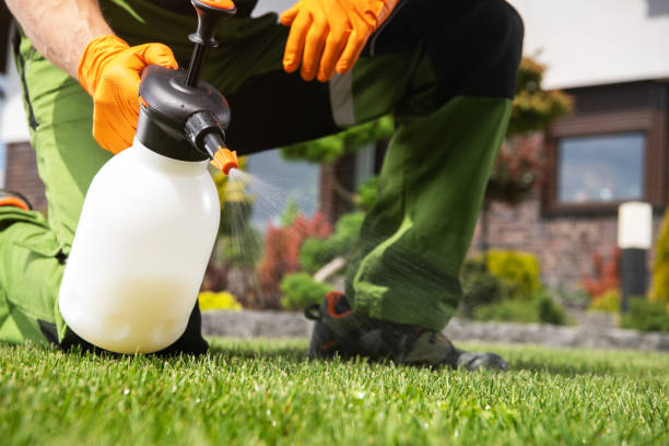 Best Best Pest Control Companies  in Sanford, NC
