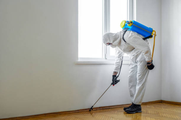 Professional Pest Control in Sanford, NC