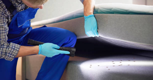 Best Residential Pest Control  in Sanford, NC