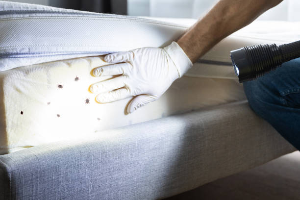 Pest Prevention Services in Sanford, NC