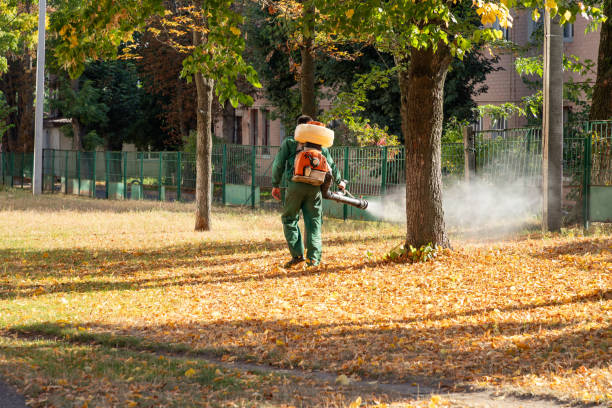 Best Affordable Pest Control Services  in Sanford, NC
