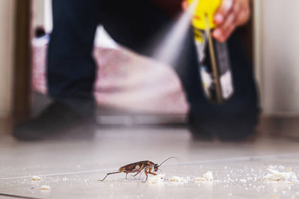 Best Bed Bug Extermination  in Sanford, NC