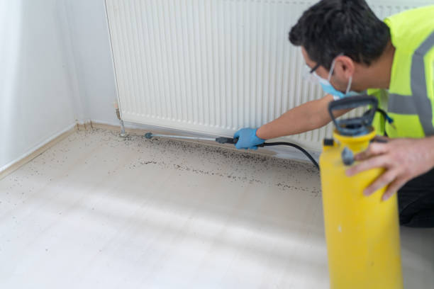 Best Residential Pest Control  in Sanford, NC