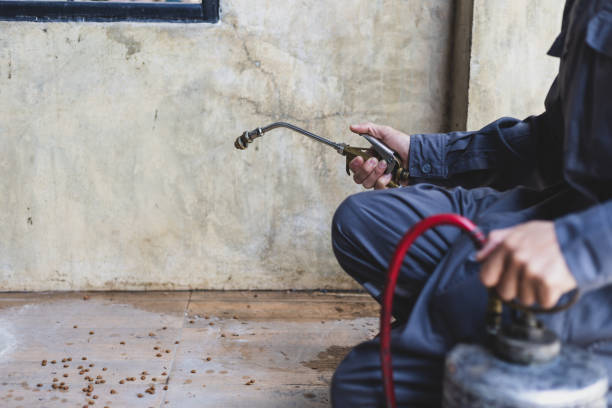 Best Local Pest Control Services  in Sanford, NC