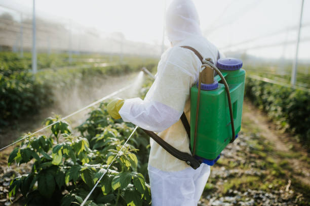 Pest Control Cost in Sanford, NC